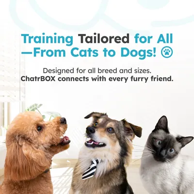Cats and Dogs