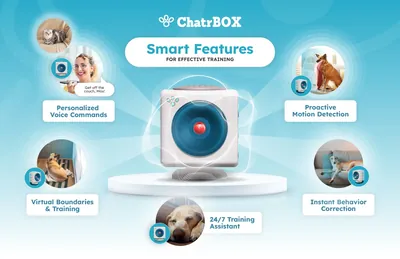 Smart Features
