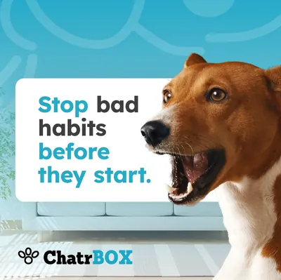 Stop Bad Habits
