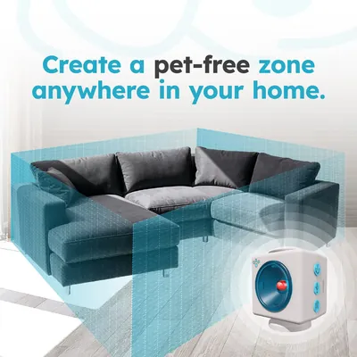 Pet Free Zone